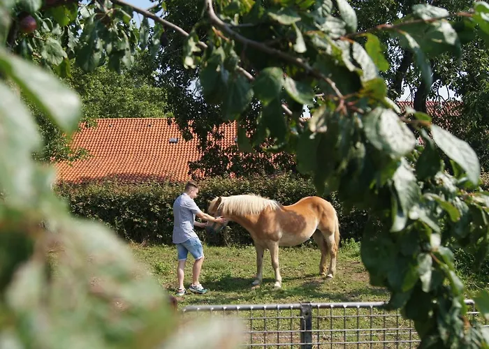 Hoeve Linnerveld Xl * Sint Odilienberg