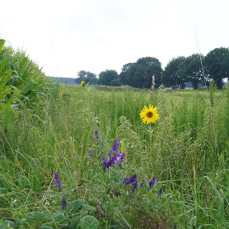 Hoeve Linnerveld Xl