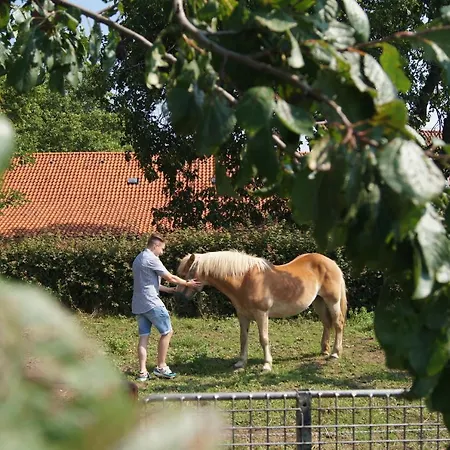 Hoeve Linnerveld Xl * Sint Odiliënberg